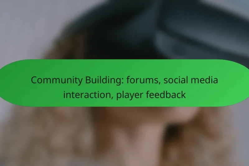 Community Building: forums, social media interaction, player feedback